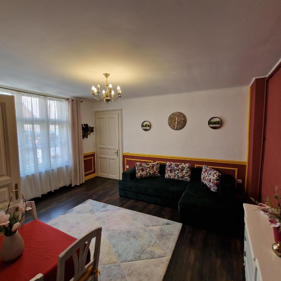 Central Park Apartment Sighişoara Buitenkant foto