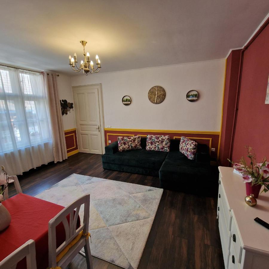 Central Park Apartment Sighişoara Buitenkant foto
