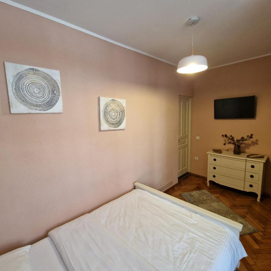 Central Park Apartment Sighişoara Buitenkant foto